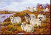 Sheep 063 unknow artist